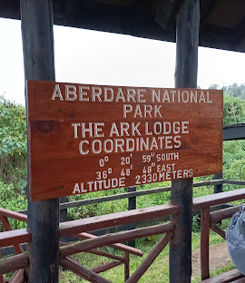 2 Days / 1 Night Aberdare National Park Safari