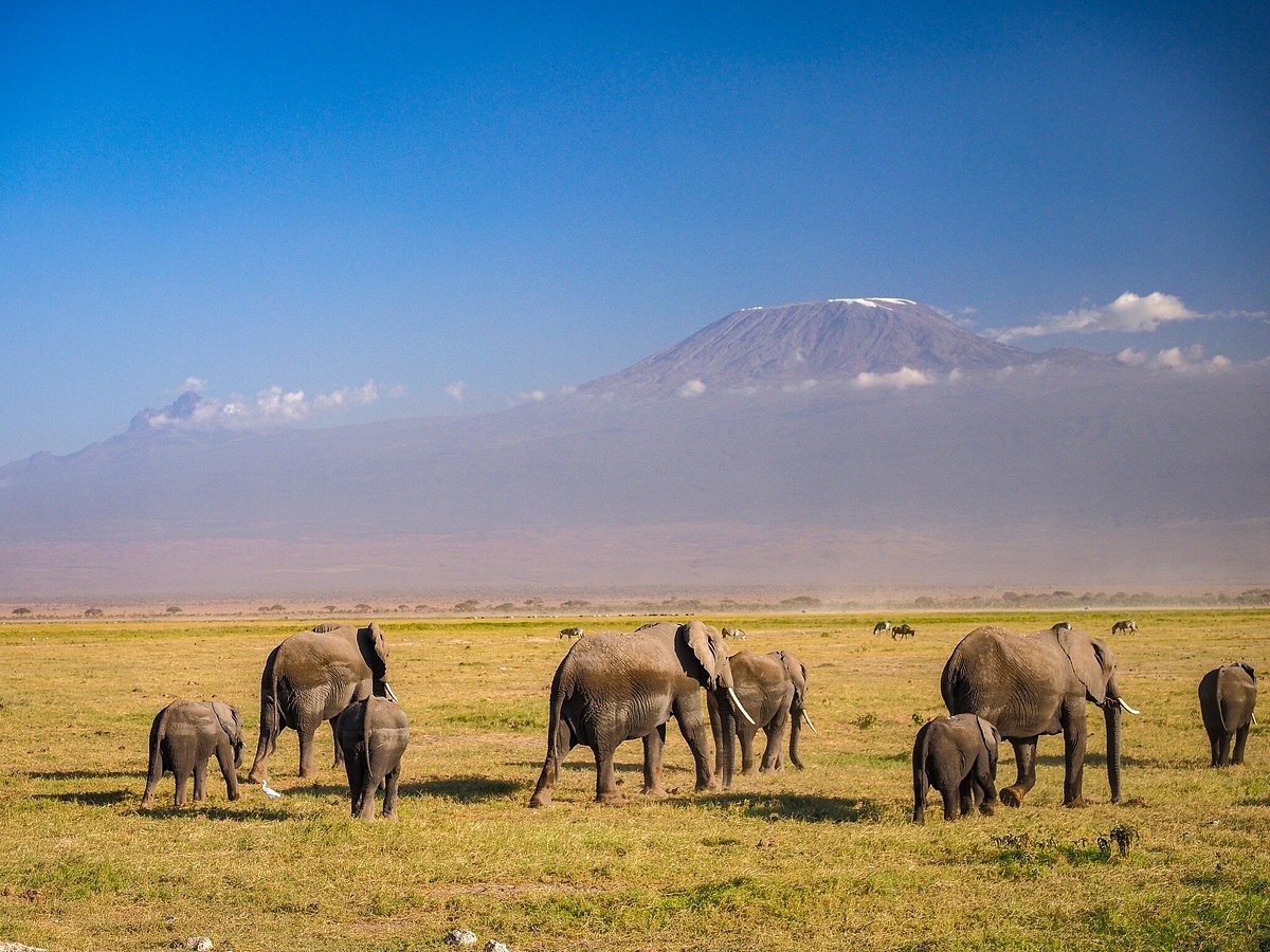 3 Days Amboseli National Park Safari