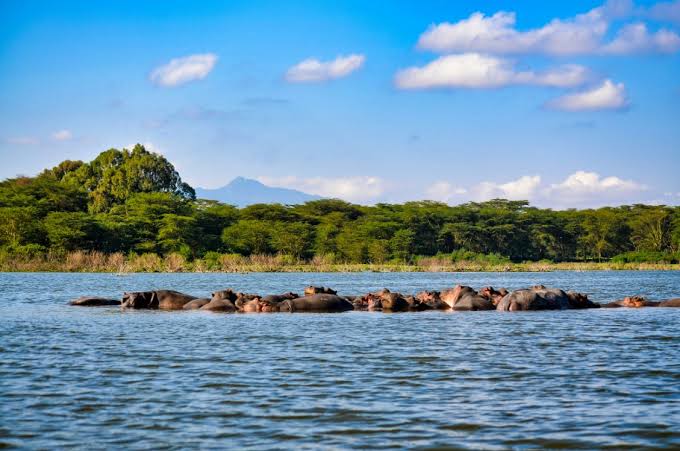 Hell's Gate + Lake Naivasha Boat Ride Safari Package