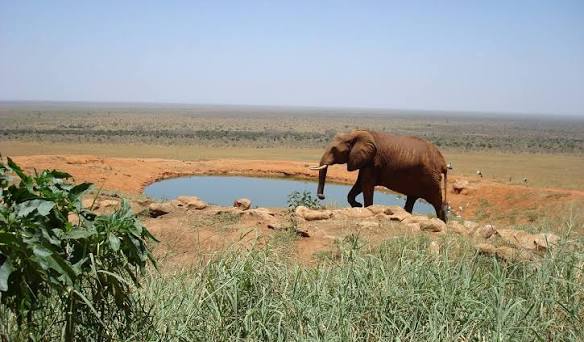 Tsavo East Day Trip